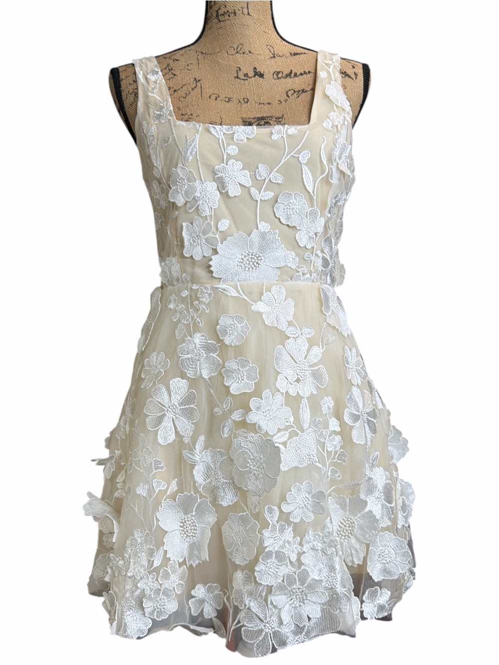Lulu’s Floral Cutout Lace Overlay A-Line Dress in Cream and White NWT Size small